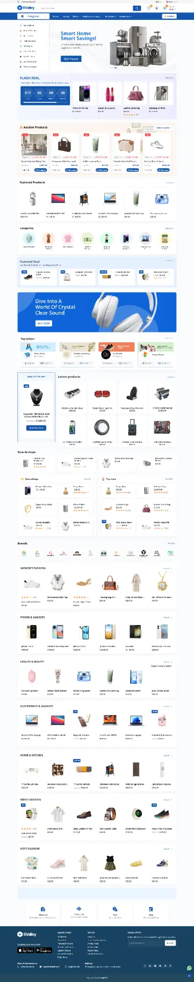 Multi-Vendor Store Platform website design preview